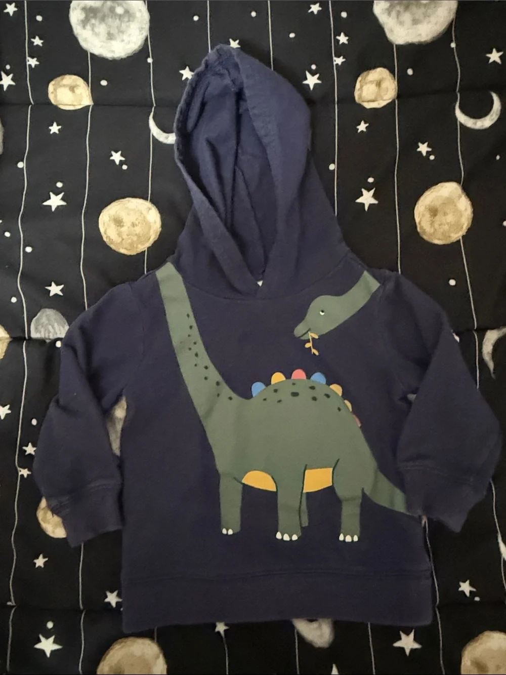 Carter's Navy Hoodie with Green Dinosaur Graphic